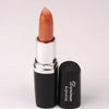 Matte Vampire Lip Stick